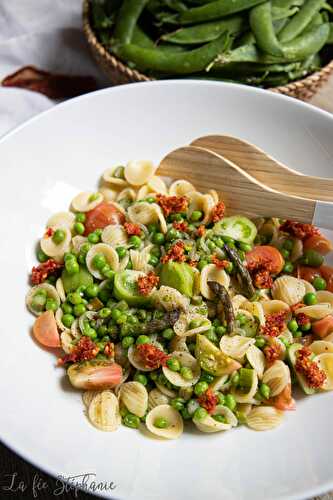 Salade de pâtes printanière, pesto rouge aux tomates séchées