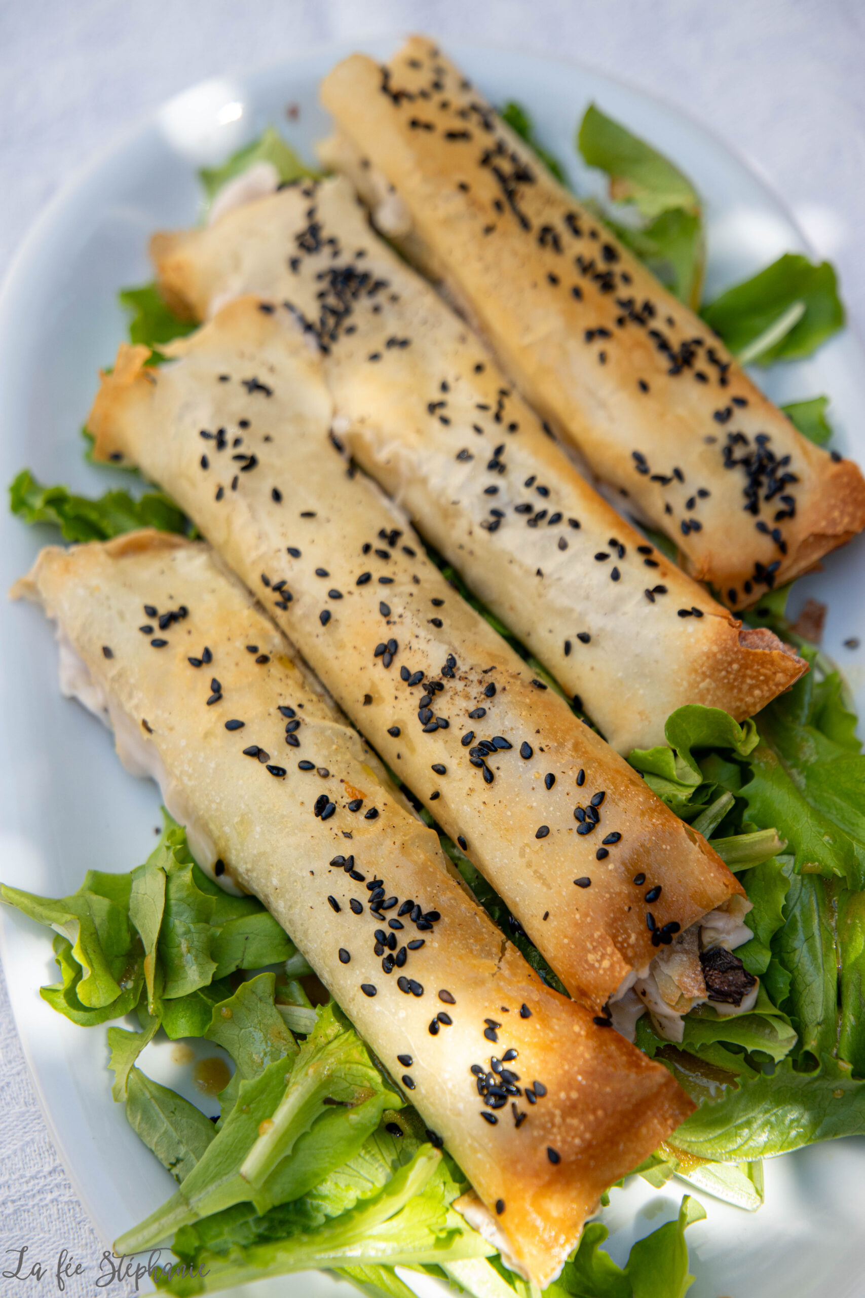 Cigares de pâte filo aux courgettes