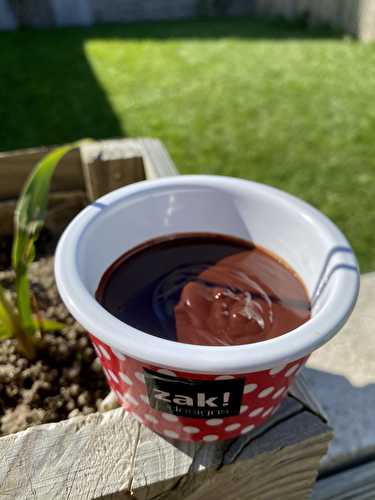 Crèmes au chocolat de Christophe Michalak