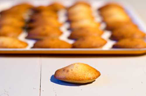 Madeleines