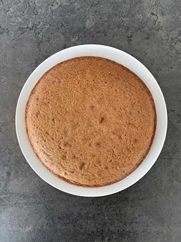 Ardéchois, gâteau ultra moelleux à la crème de marron