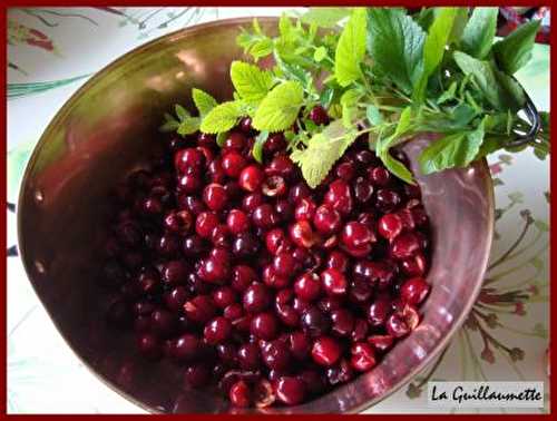 Confiture de cerises à la menthe