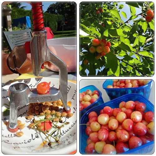 Confiture de cerises de notre jardin, 1er juillet 2013