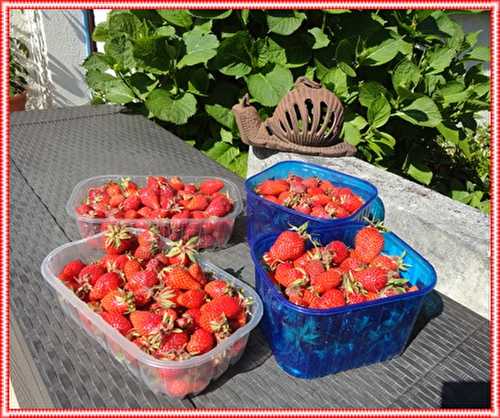 Confiture de fraises "gariguettes" 2013