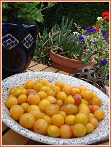 Confiture de mirabelles, 31 juillet 2011