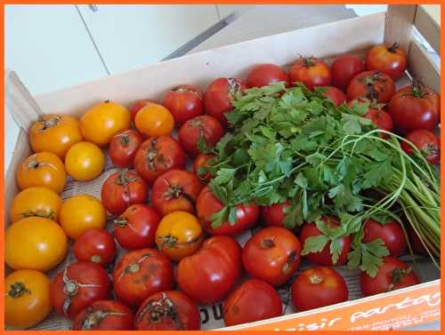 Coulis de tomates au basilic