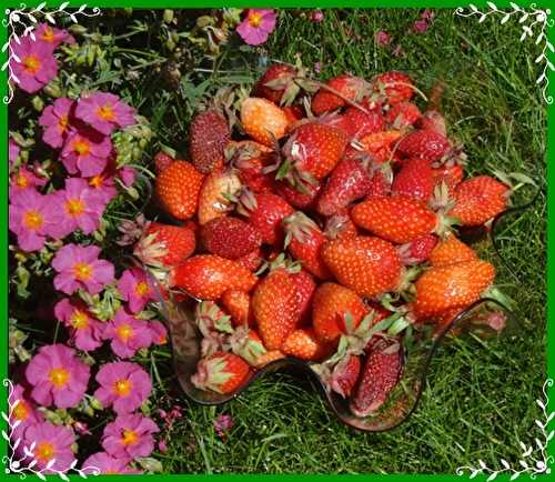 Fraises au Pineau des Charentes