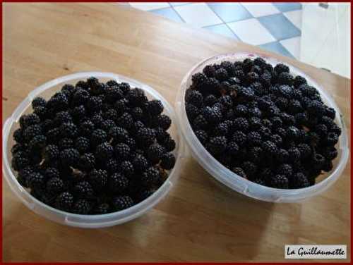 Glace aux mûres sauvages