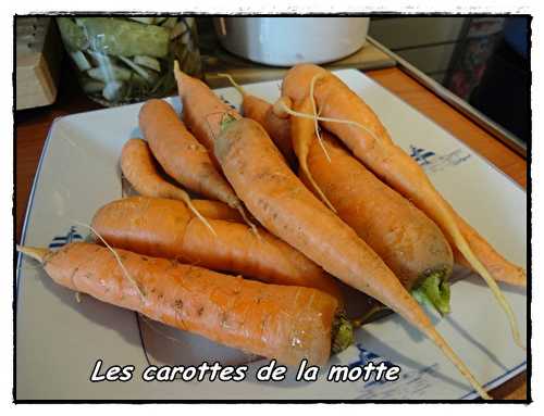 Gratin de carottes au lait de coco et curry