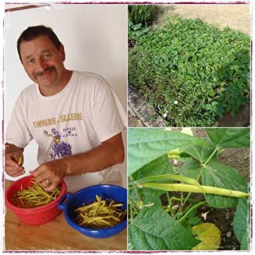 Haricots beurre à l'italienne