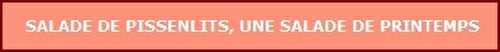 L'incontournable salade de pissenlits