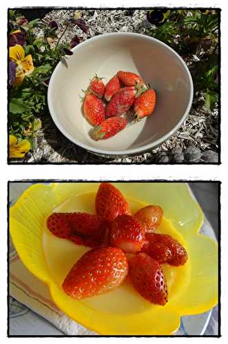 Nos premières fraises, 4 mai 2012
