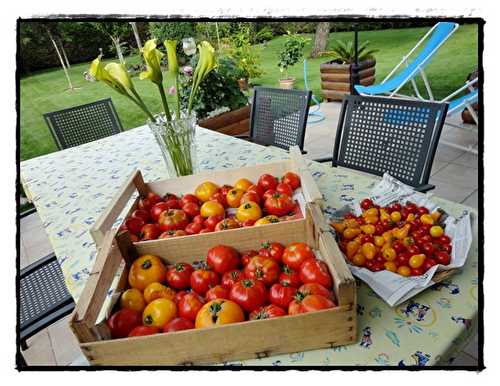 Salades de tomates vitaminées