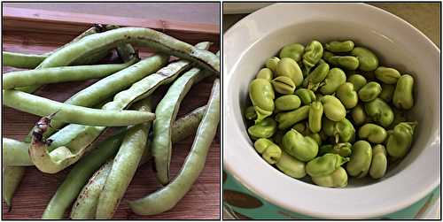 Soupe de fèves aux légumes version avec Thermomix