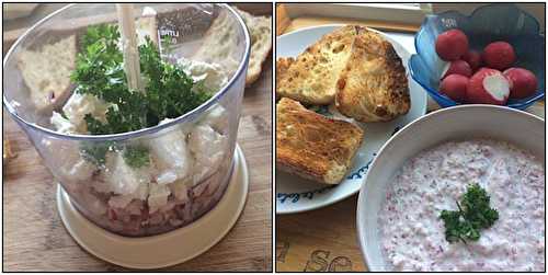 Tartinade de radis roses au chèvre frais