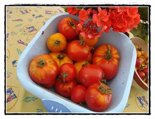 Tomates farcies au risotto de thon et à la ratatouille