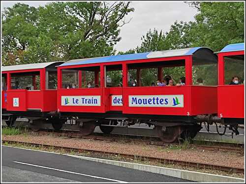 Le train des Mouettes (1) avec Marie-Claude et Claude, 24 juin 2021