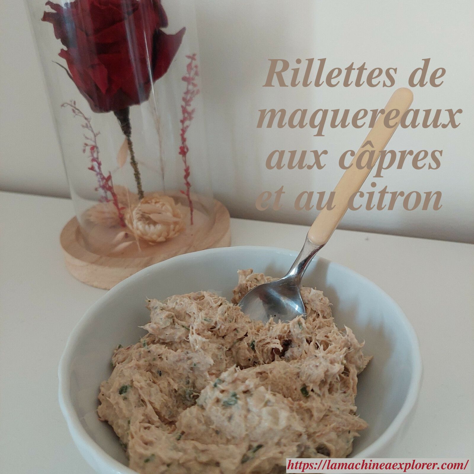 Rillettes de maquereaux aux câpres et au citron 