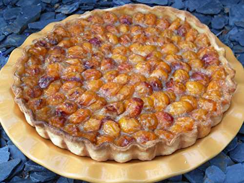 Tarte sablée aux mirabelles