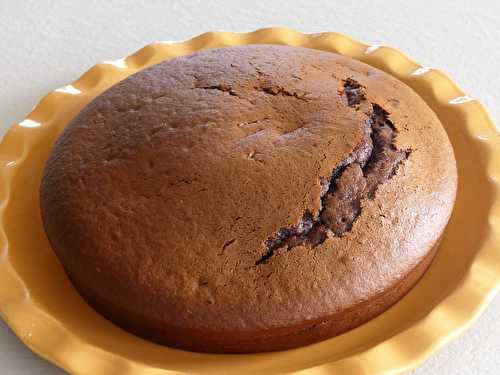 Gâteau au lait concentré sucré et chocolat