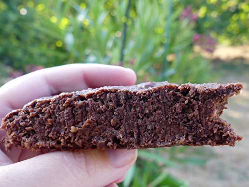 Moelleux au chocolat, bananes (sans farine ni sucre et sans beurre)