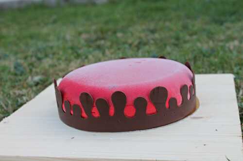 #Entremets du moment version framboise