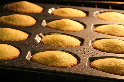 Mes Madeleines à la liqueur de Sapin