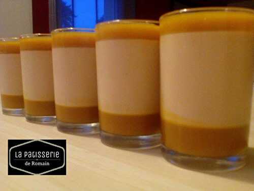 Panna Cotta Dulcey mangue