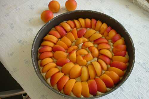 Gâteau moelleux aux abricots frais
