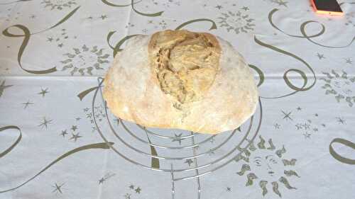 Protocole pour du pain au levain au quotidien - La p'tite boulangerie maison