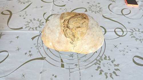 Protocole pour du pain au levain au quotidien