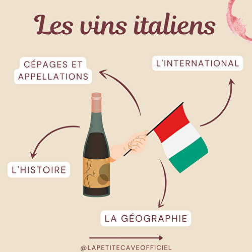 4 clés pour comprendre les vins italiens 🇮🇹