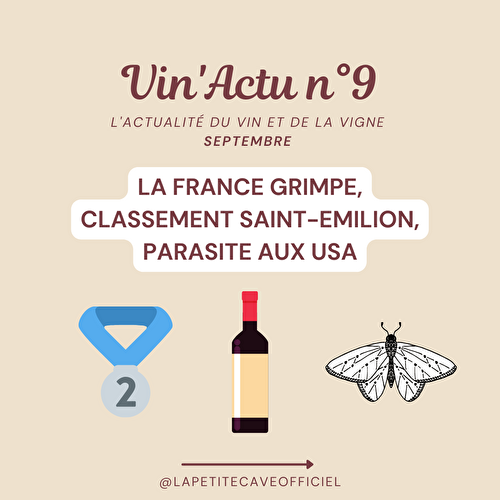 🍇 Vin’Actu : Septembre