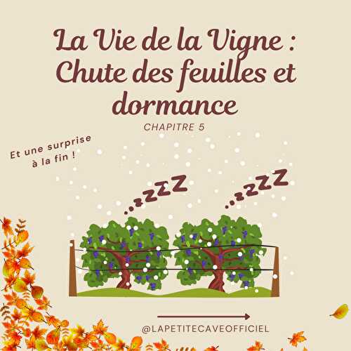 Vie de la Vigne Chapitre 5 : Chute des feuilles et dormance