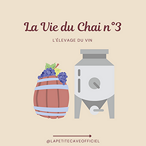 La Vie du Chai n°3 : élevage du vin 🍷
