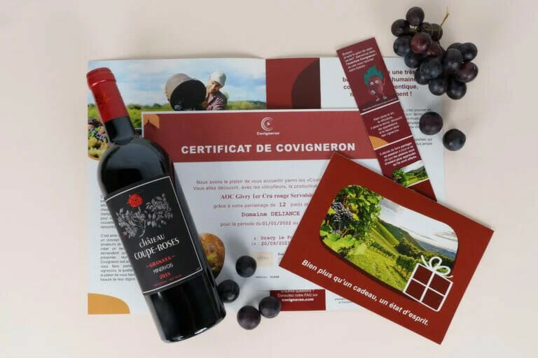 Nos idées cadeaux 2023 pour les amoureux de vin