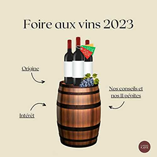 Foire aux vins 2023 : les pépites à ne pas rater !