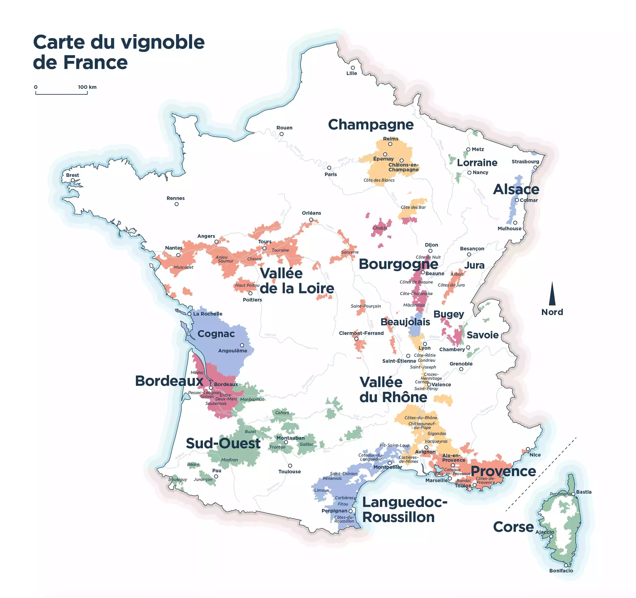 🍇 Bilan des vendanges 2023 : une bonne récolte ?