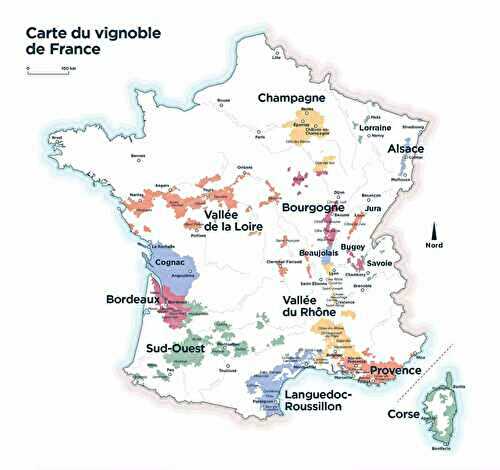 🍇 Bilan des vendanges 2023 : une bonne récolte ?