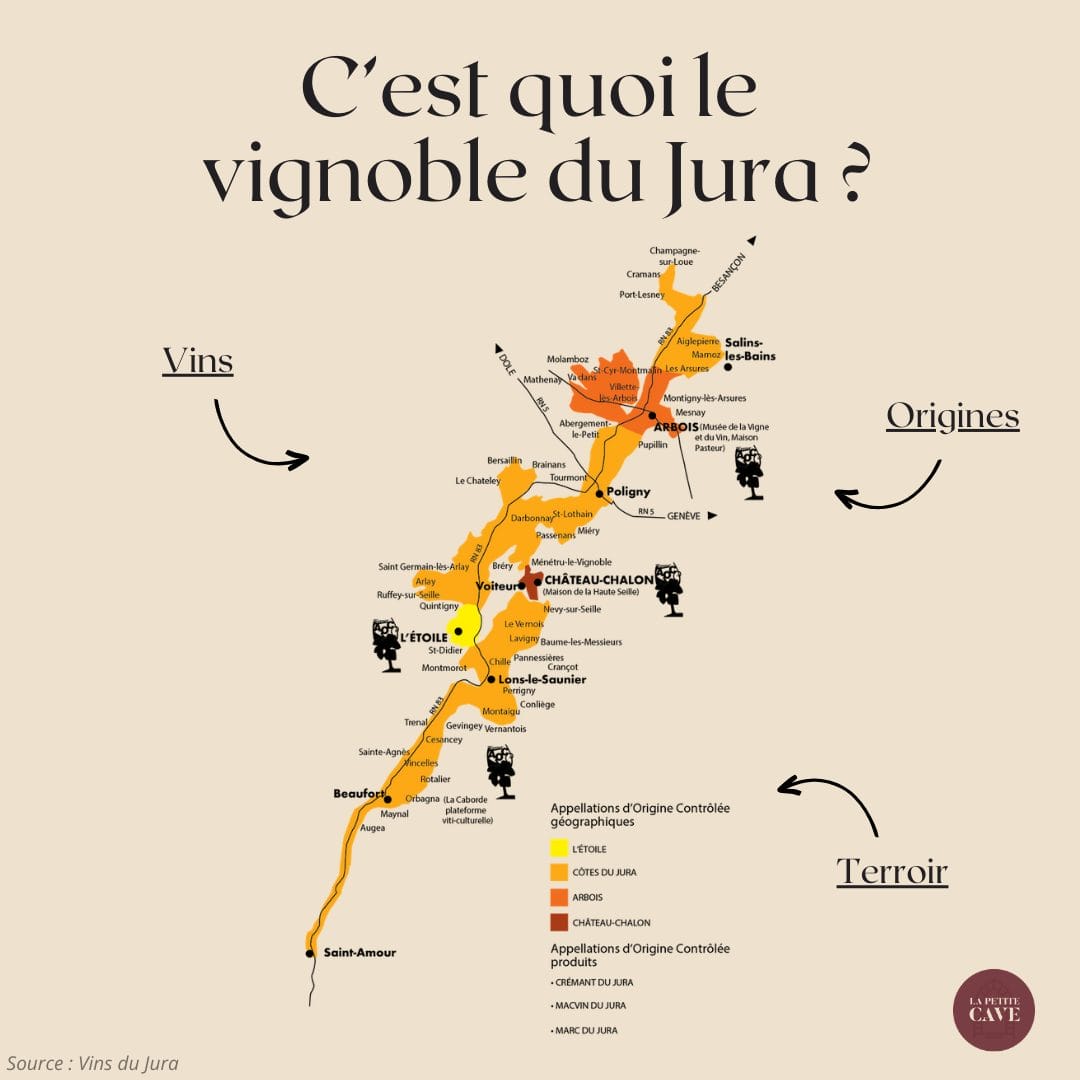 🍷 C’est quoi le vignoble du Jura ?