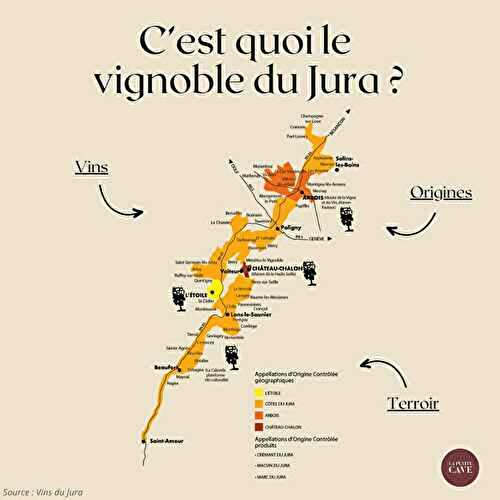 🍷 C’est quoi le vignoble du Jura ?