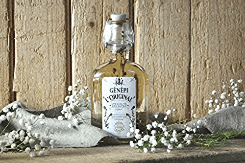 Le Génépi : 8 choses à savoir sur cette liqueur