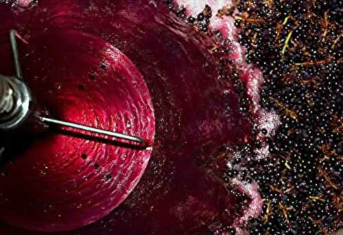 Les cépages du Beaujolais : guide complet