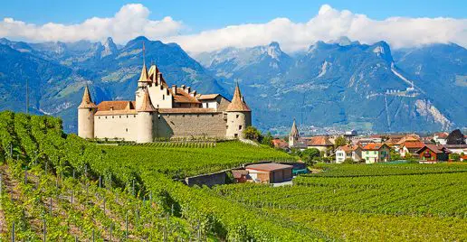 Vins Suisse :  le guide complet