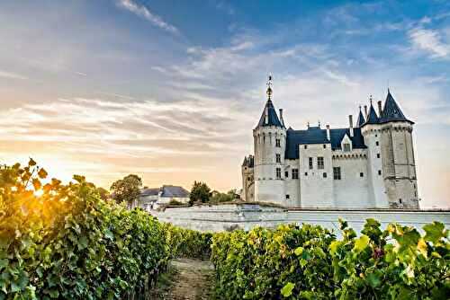 Pourquoi célébrer vos événements avec les vins des Pays de la Loire ?