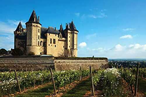 Vignoble en France : guide des 12 régions viticoles françaises