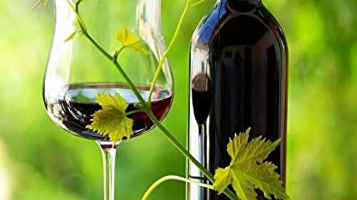 Comprendre le vin nature en 9 points