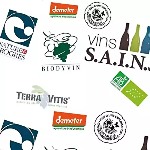 Labels des vins : le guide complet