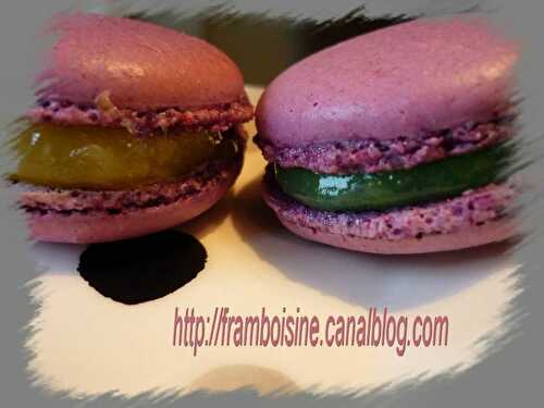 Macarons citron violette et citron poivre de tasmanie