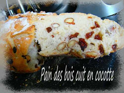 Pain des bois au Thermomix cuit en cocotte